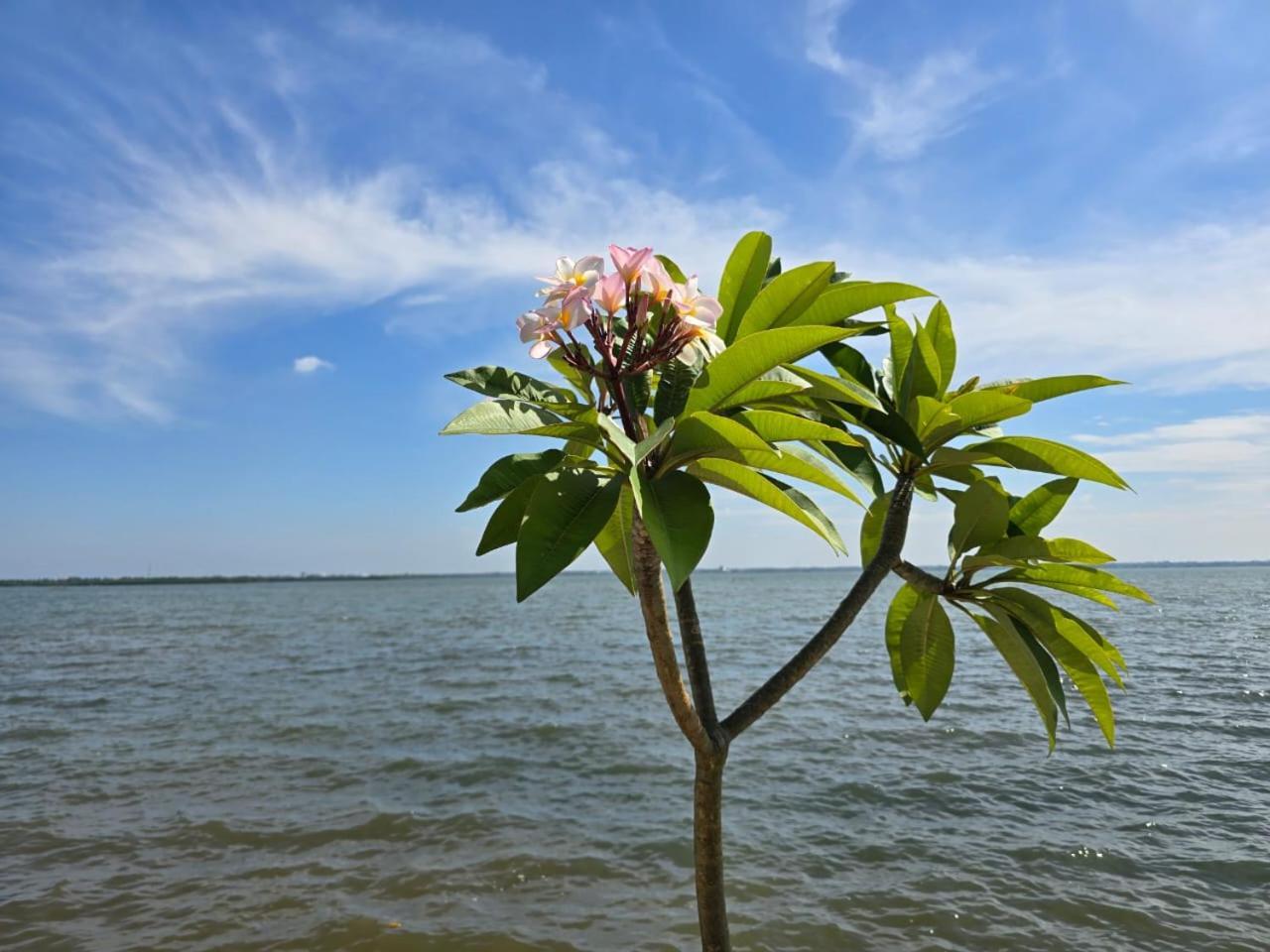 Lagoon Bay Resort Negombo Ngoại thất bức ảnh